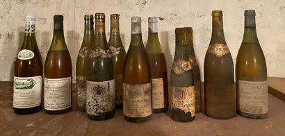 null 11 bouteilles CHABLIS ET BOURGOGNES BLANCS DIVERS A VENDRE EN L'ETAT 3 RULLY...