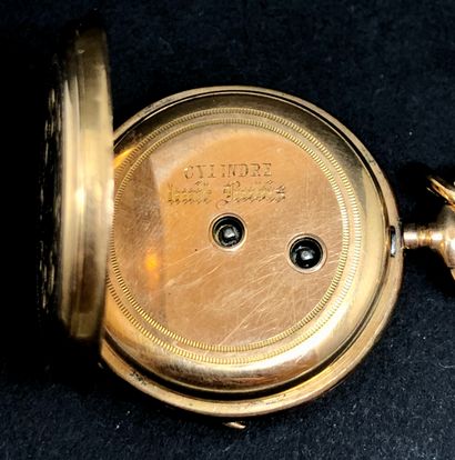 null Montre de col, boîtier et cache-poussière en or jaune 18K 750°/°° à décor de...