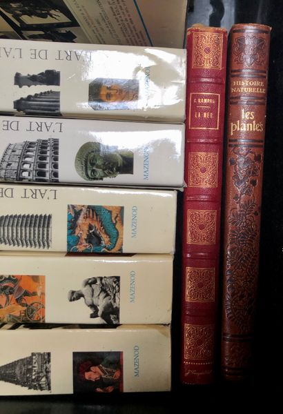 null Dans une caisse : 9 volumes des Editions MAZENOD : 

- L'art en Inde 

- L'art...