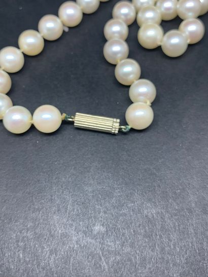 Long collier de perles de culture blanches (dia moyen 8.80 mm). Fermoir tube rainuré...