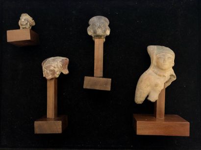 null Lot constitué de 3 têtes et d'un buste de statuette 

Fragments de statuettes...