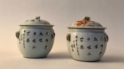 null Paire de pots couverts en porcelaine émaillée corail à décor de lions bouddhiques

Chine,...