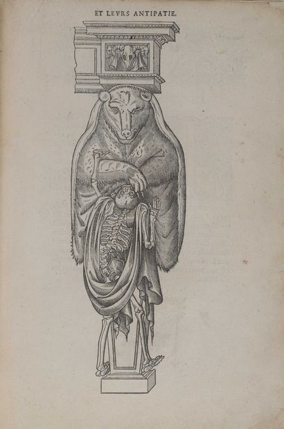 null [Book of the 16th century]. BOILLOT (Joseph). Nouveaux pourtraitz et figures...