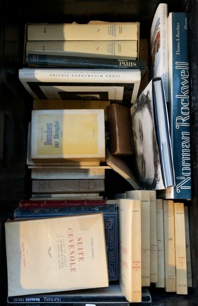 null Un ensemble de livres brochés : essentiellement littérature dont Henri Troyat,...