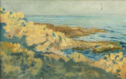 null Frédéric LUCE (1896-1974)
Bord de mer
Huile sur bois.
Non signée
46 x 30 cm