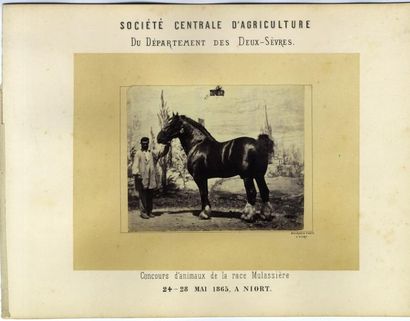 BOURGOIN Société Centrale d'Agriculture du Département des Deux-Sèvres, Niort. Douze...