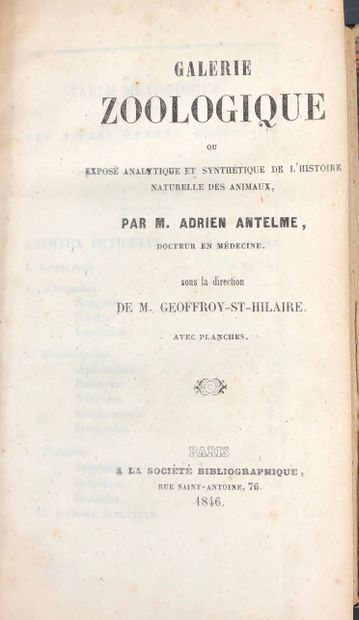 null Adrien ANTELME- Dir GEOFFROY-SAINT-HILAIRE
Galerie zoologique ou exposé analytique...