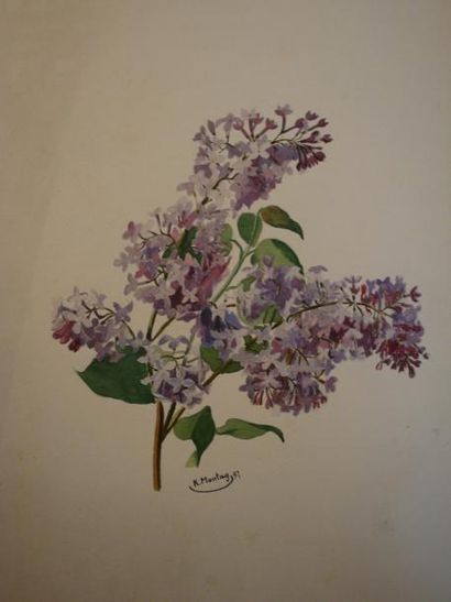 Carl MONTAG (1879/80-1956) Fleurs Ensemble de 7 dessins et aquarelles
