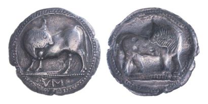 null LUCANIE, Sybaris (550-530). Statère incus (7,12 g) au taureau retournant la...