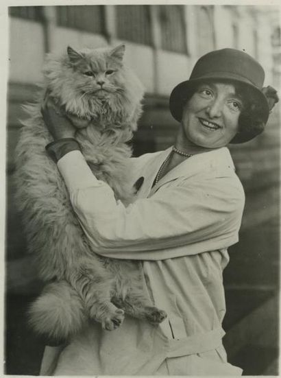 null Chiens et chats, 1930-1950. Quatorze photographies d'époque, divers formats