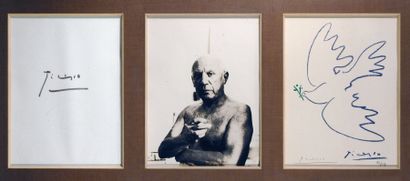 null Picasso. Lithographie. Triptyque. 73/79. 36x27