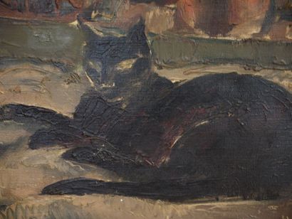 Harry BLOOMFIELD (1883-1941) Chat noir Huile sur toile. 34,5 x 36,5 cm (Restaurations)...