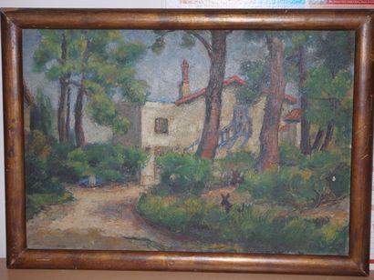 Ecole du XXème siècle Maison dans la forêt de Sidi Ferruch Huile sur panneau, non...
