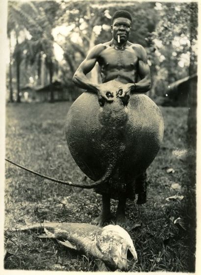 null Archives de Monsieur Abel Bertrand, chef de service de l'exploitation des chemins...