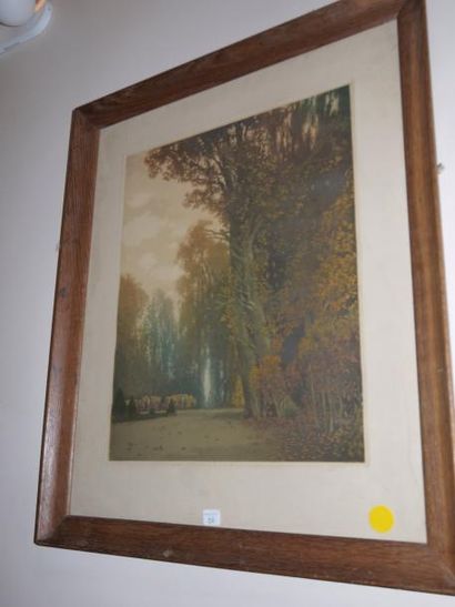 null "Clairière", estampe en couleurs (signature illisible), 41 x 34 cm