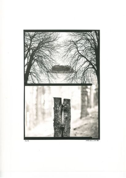 NAVARRO «Diptycon», 1990, ex VI/X, photographie NB dim: 40,5x30,5 cm