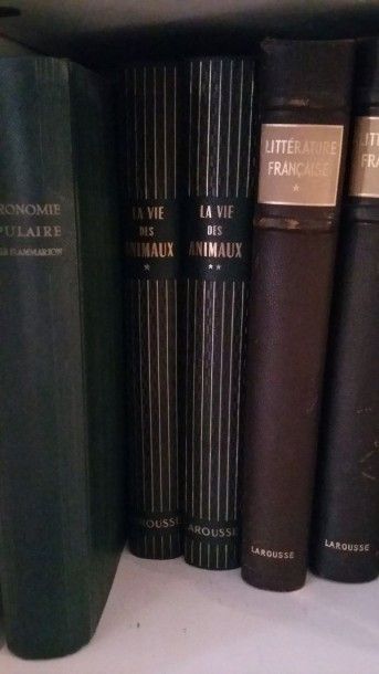 BERTIN Léon La vie des animaux, Paris, Librairie Larousse, 1949, 2 vol in-4°. Reliures...