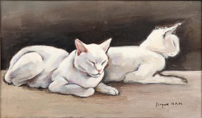 null Deux chats blancs couchés Huile sur toile, signée en bas à droite. 33 x 55 cm...