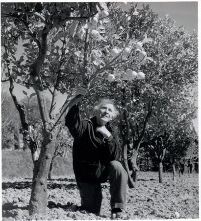 Serge Lido. Marc Chagall à Vence, vers 1950. Tirage argentique d'époque 18,8 x 17,3...