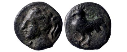 null ROME, République. Luceria [Apulie du Nord-Pouilles (225-217)].
As de bronze...