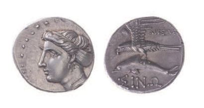 null PAPHLAGONIE, Sinope (322-220).
Drachme (5 g.) au buste de la nymphe Sinope....