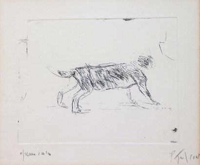Pierre TAL-COAT (1905-1985) 
Hure de sanglier
Dessin au stylo, signé au crayon en...