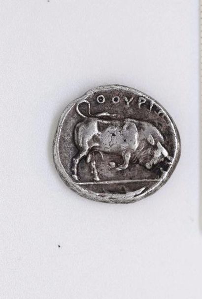 null (GRECE) Lucanie, Thurium (400-350) Stratère (6,71g) à la tête d'Athéna coiffée...