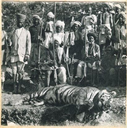 null INDE. Album portant 99 photographies vers 1900. Chasse au tigre, scène de vie,...