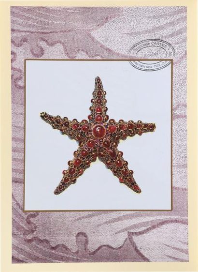 René Boivin, modèle «Etoile de mer» 
Broche en forme d'étoile de mer à cinq branches...