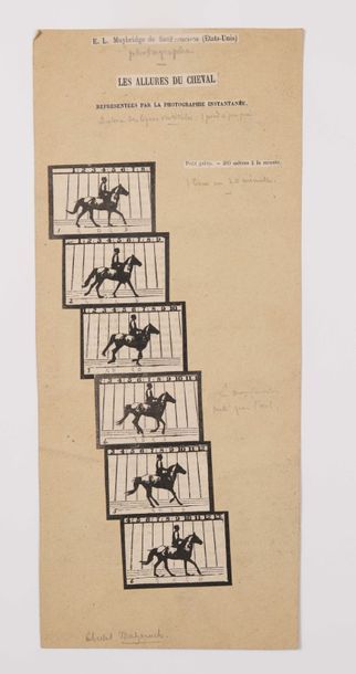 MUYBRIDGE & MAREY Cinq série d'images xylographiques Les allures du cheval représentées...