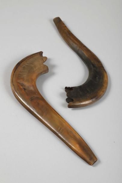 null Deux shofar, corne de bélier, L. 31.5 cm et 32 cm.
Instrument traditionnel des...