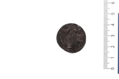 null Grèce, Syrie, Antiochus X (94-83). Tétradrachme au buste diadémé du roi. R/...