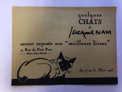 null Jacques NAM (1881-1974)

5 cartes postales, personnages, signées Jacques LEHMANN

13,7...