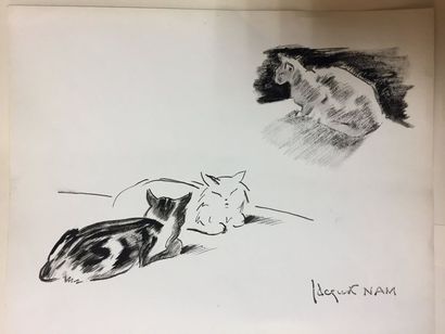 null Jacques NAM (1881-1974) 

Chat allongé

Crayon noir et crayon gris.

Cachet...