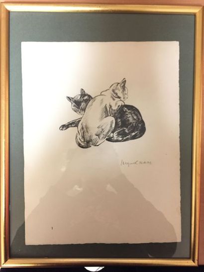 null Jacques NAM (1881-1974) 

Femme nue et chat noir

Lithographie en couleur.

Signée...
