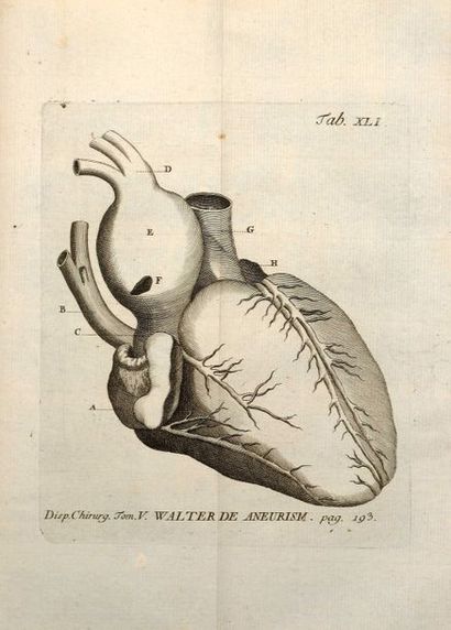 HALLER, Albrecht von. Disputationes chirurgicæ selectæ collegit, edidit, præfatus...