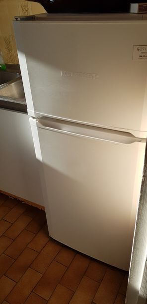 null Electroménager: petit réfrigérateur Liebherr, lave-linge Thompson
