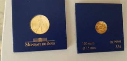 null 1 pèce Monnaie de Paris, 100 euro or.