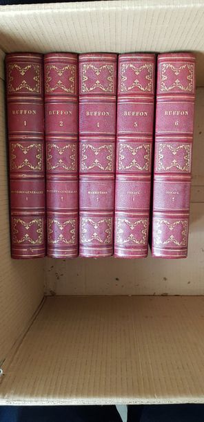 null Oeuvres complétes de Buffon, 5 volumes incomplet, XIXème s. ; La France contemporaine,...