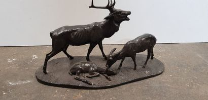 null Clovis- Edmond MASSON -(1838-1913), Cerf, Biche et faon, Sculpture en bronze...