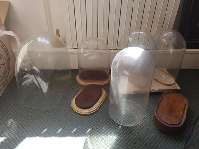 null Cinq cloches en verre, trois socles ovales et un socle en marbre rose veiné...