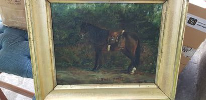 null Portrait de cheval (Ismael 1873 ), Huile sur carton, monogrammée TC (?) en bas...