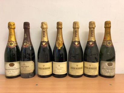 null Lot de 21 bouteilles de champagnes Non Millésimé

dont

Alfred de Rothschild...