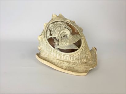 Shell engraved with a cameo representing...
