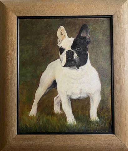  DUCRY Portrait de chien Acrylique sur toile Signée en bas à gauche 47 x 38 cm