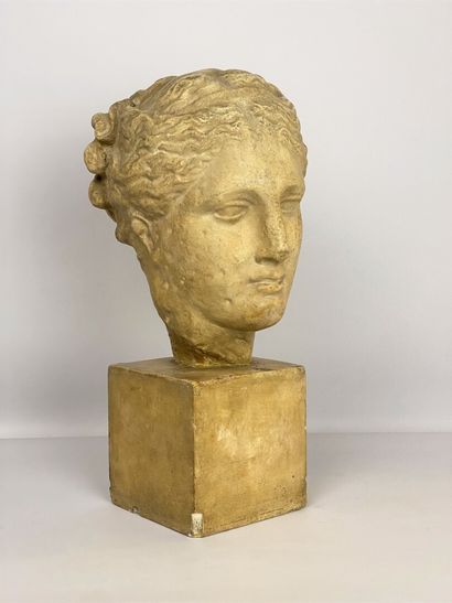Head of a woman sculpted in patinated plaster...
