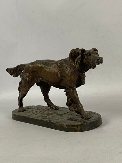 Hunting dog Proof in patinated regula H 16,5...