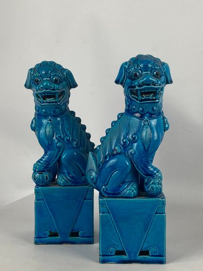  Pair of turquoise enamelled porcelain Fô dogs China, 20th century H : 31 cm