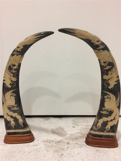 Pair of buffalo horns, with applied bird...
