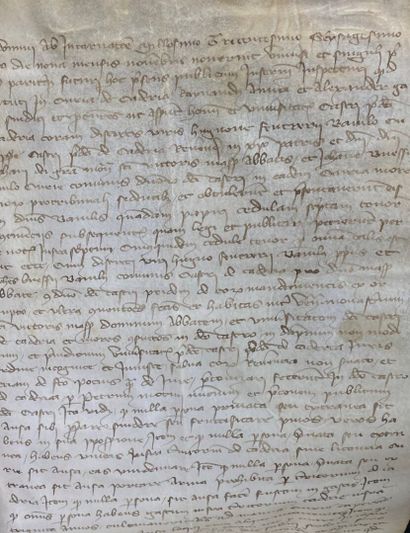  Pièce manuscrite datée de 1364. 
Pièce sur vélin de 19,8 x 28 cm, encre noire. 
L'écriture,...